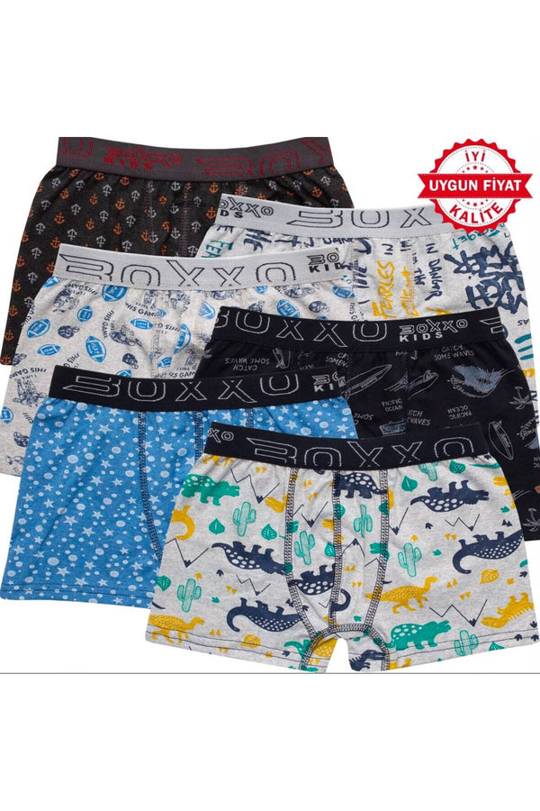 6'li Pamuklu Desenli Erkek Çocuk Boxer